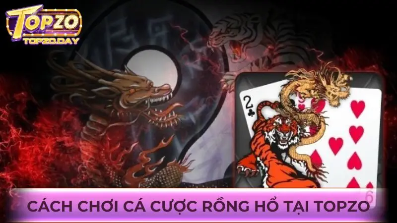 Cách chơi Rồng Hổ online tại Topzo cho các anh em game thủ