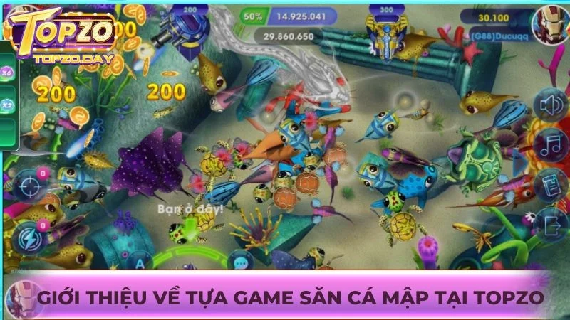 Giới thiệu tổng quan về trò chơi Săn cá mập tại Topzo